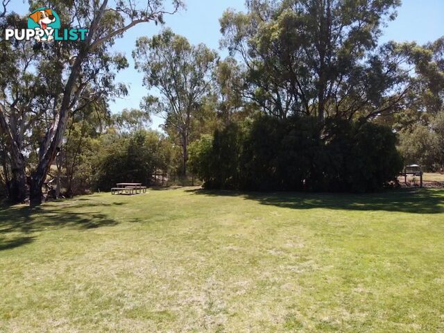 153 East Barham Road BARHAM NSW 2732