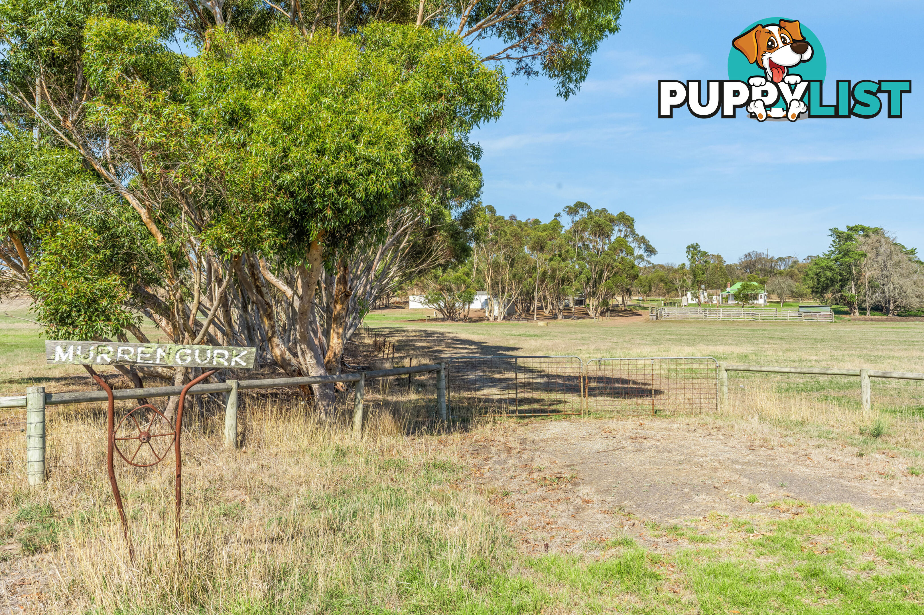 55 Buckley School Road WINCHELSEA VIC 3241