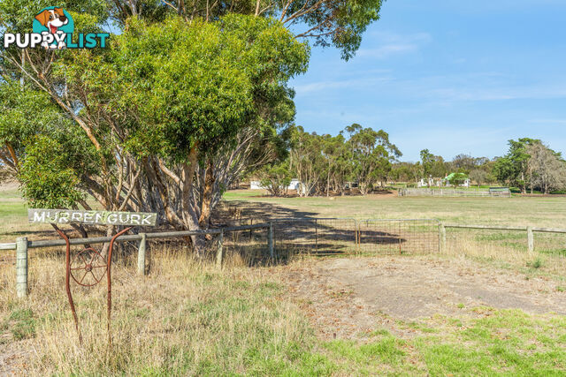 55 Buckley School Road WINCHELSEA VIC 3241