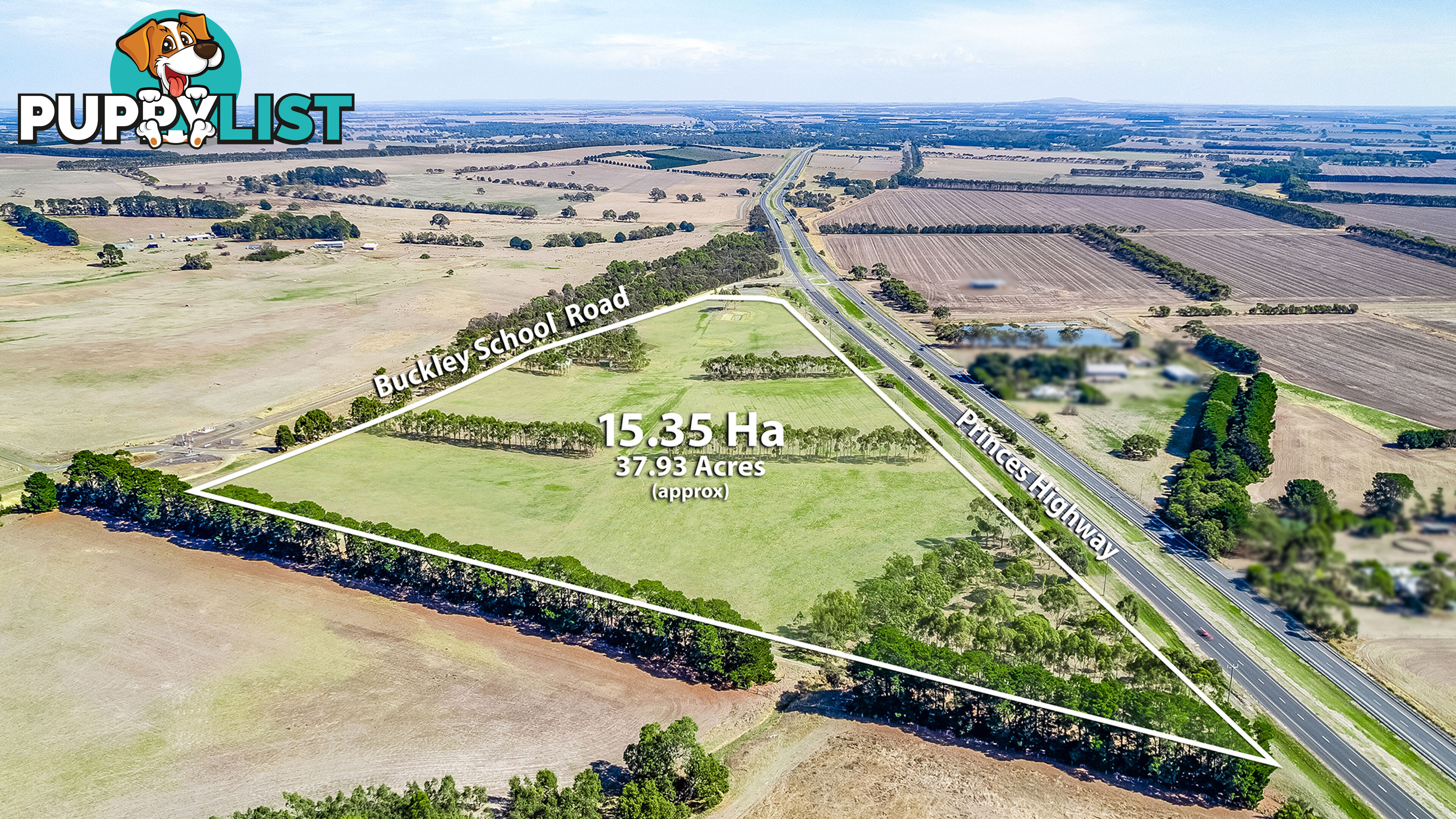 55 Buckley School Road WINCHELSEA VIC 3241