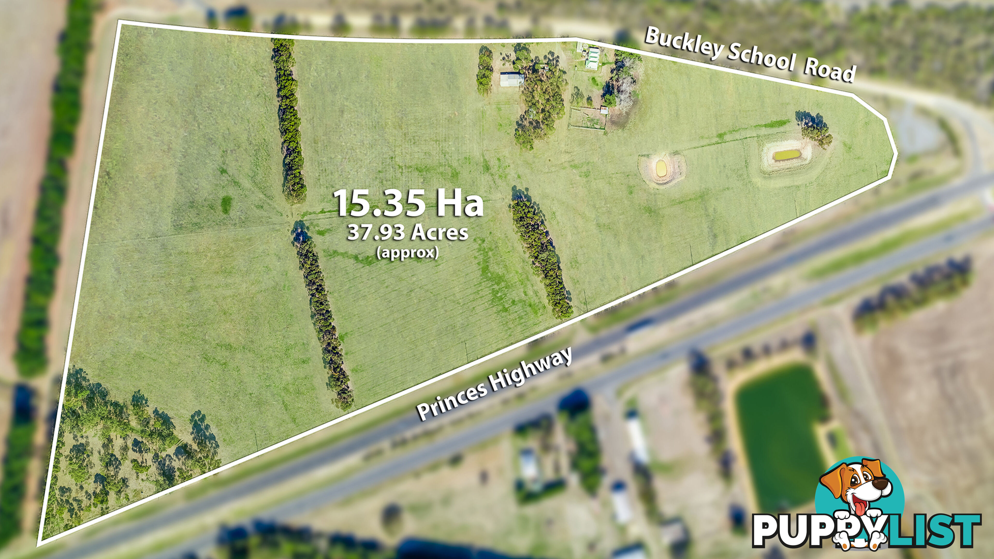 55 Buckley School Road WINCHELSEA VIC 3241