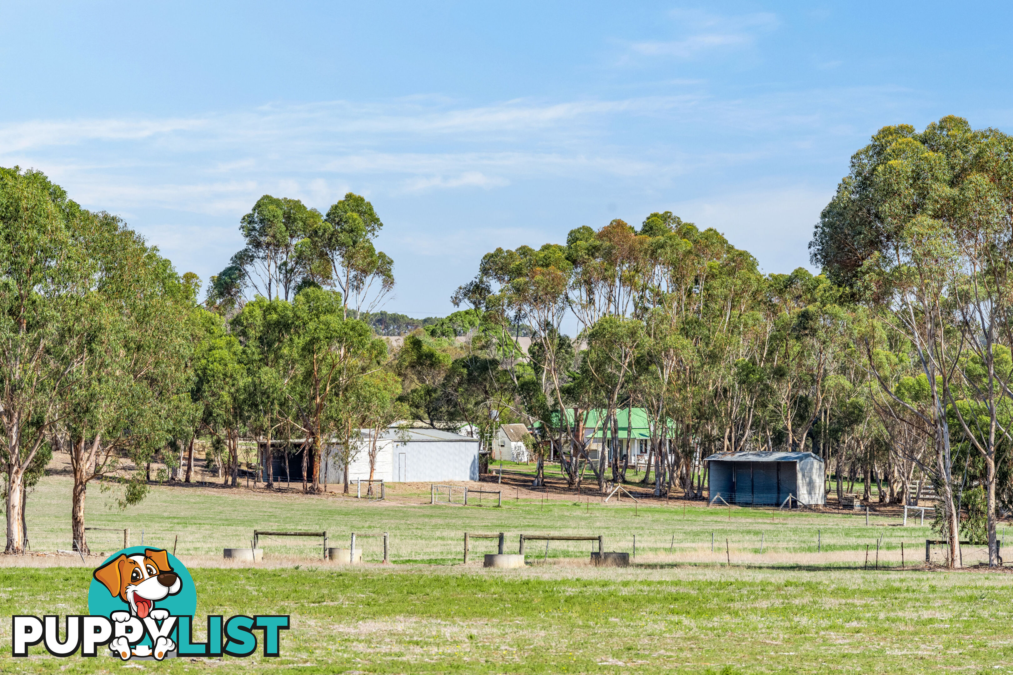 55 Buckley School Road WINCHELSEA VIC 3241