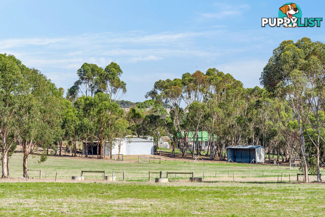 55 Buckley School Road WINCHELSEA VIC 3241