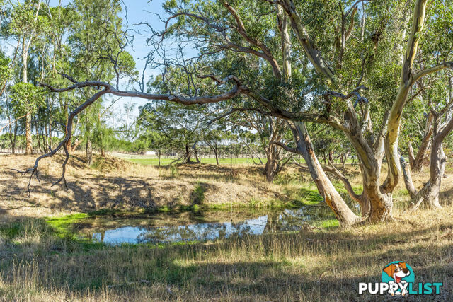 55 Buckley School Road WINCHELSEA VIC 3241