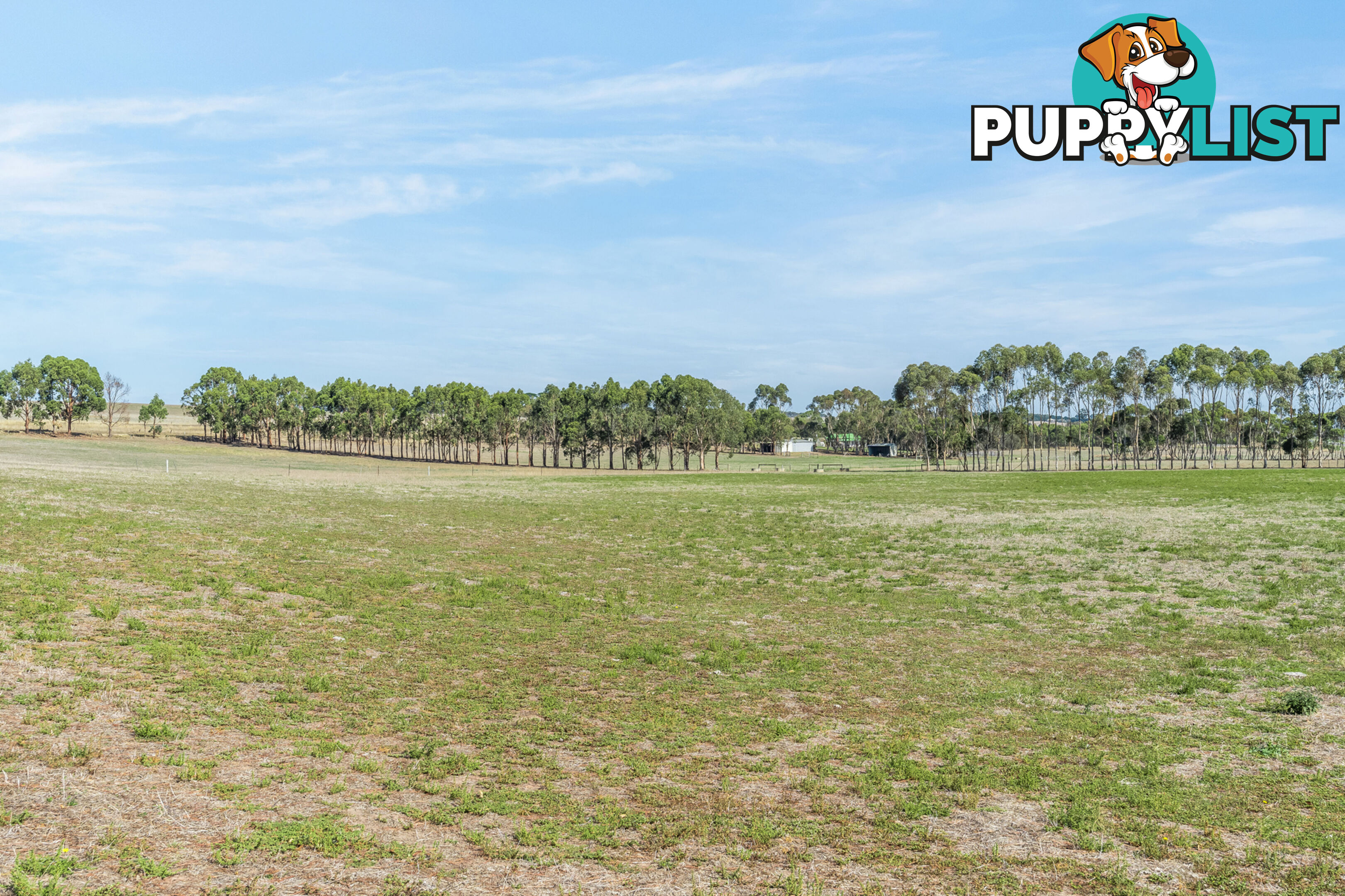 55 Buckley School Road WINCHELSEA VIC 3241