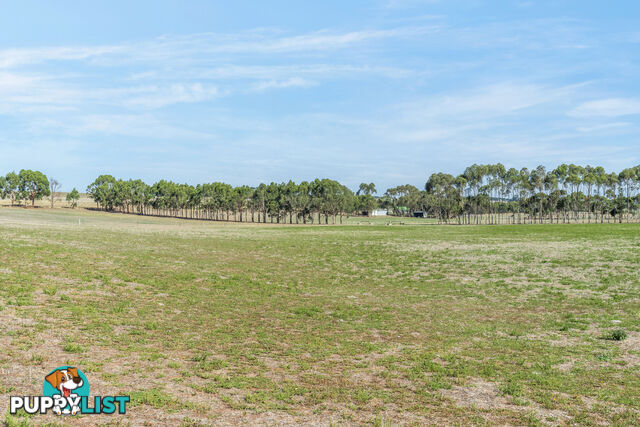 55 Buckley School Road WINCHELSEA VIC 3241