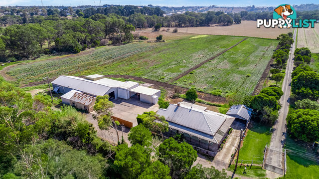 70 Bridge Street BATESFORD VIC 3213