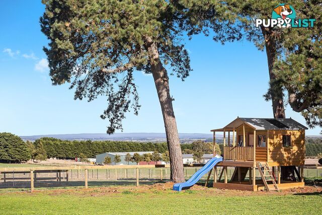 660 Reservoir Road MOUNT MORIAC VIC 3240