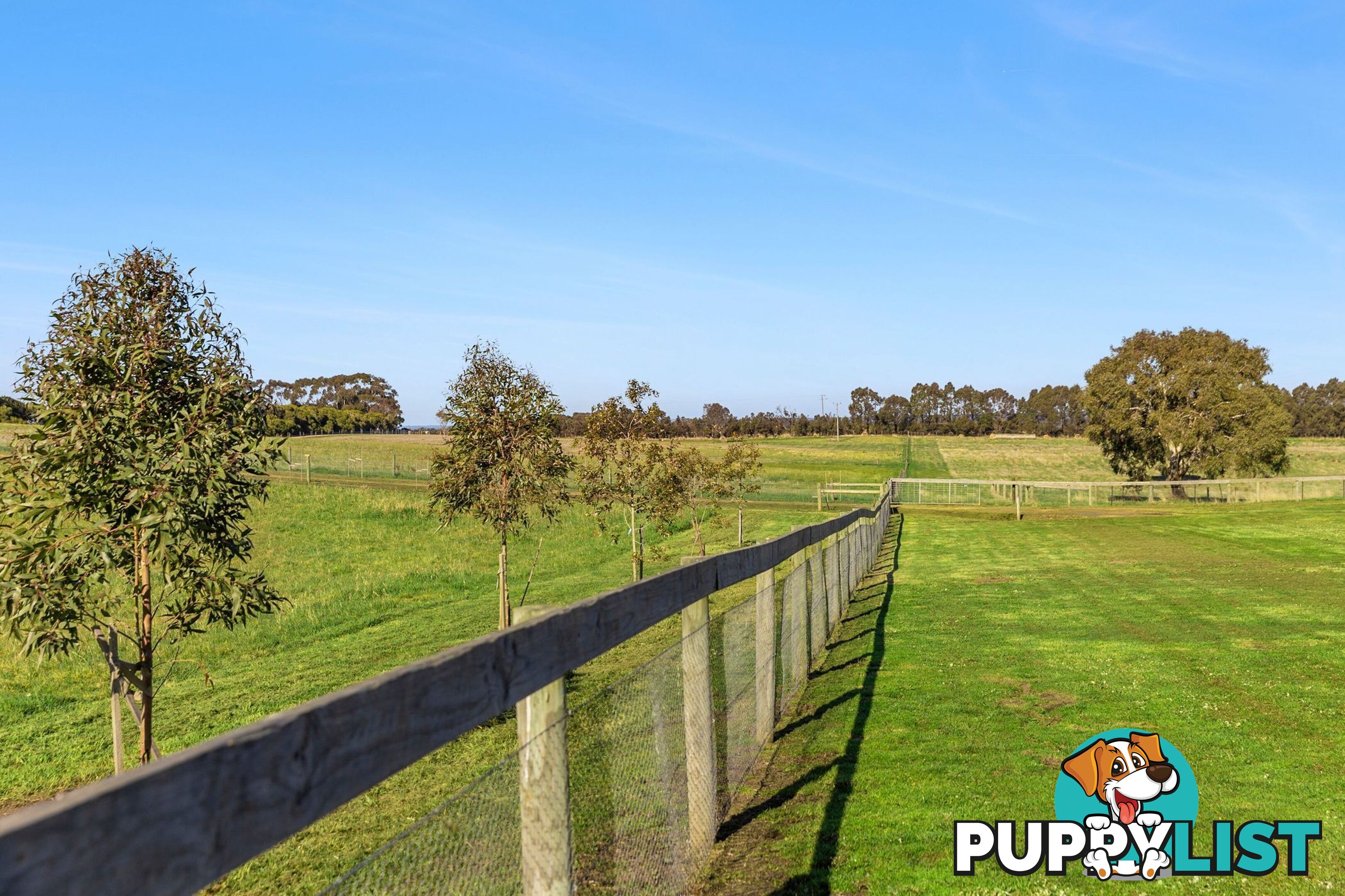 660 Reservoir Road MOUNT MORIAC VIC 3240