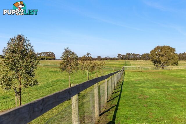 660 Reservoir Road MOUNT MORIAC VIC 3240