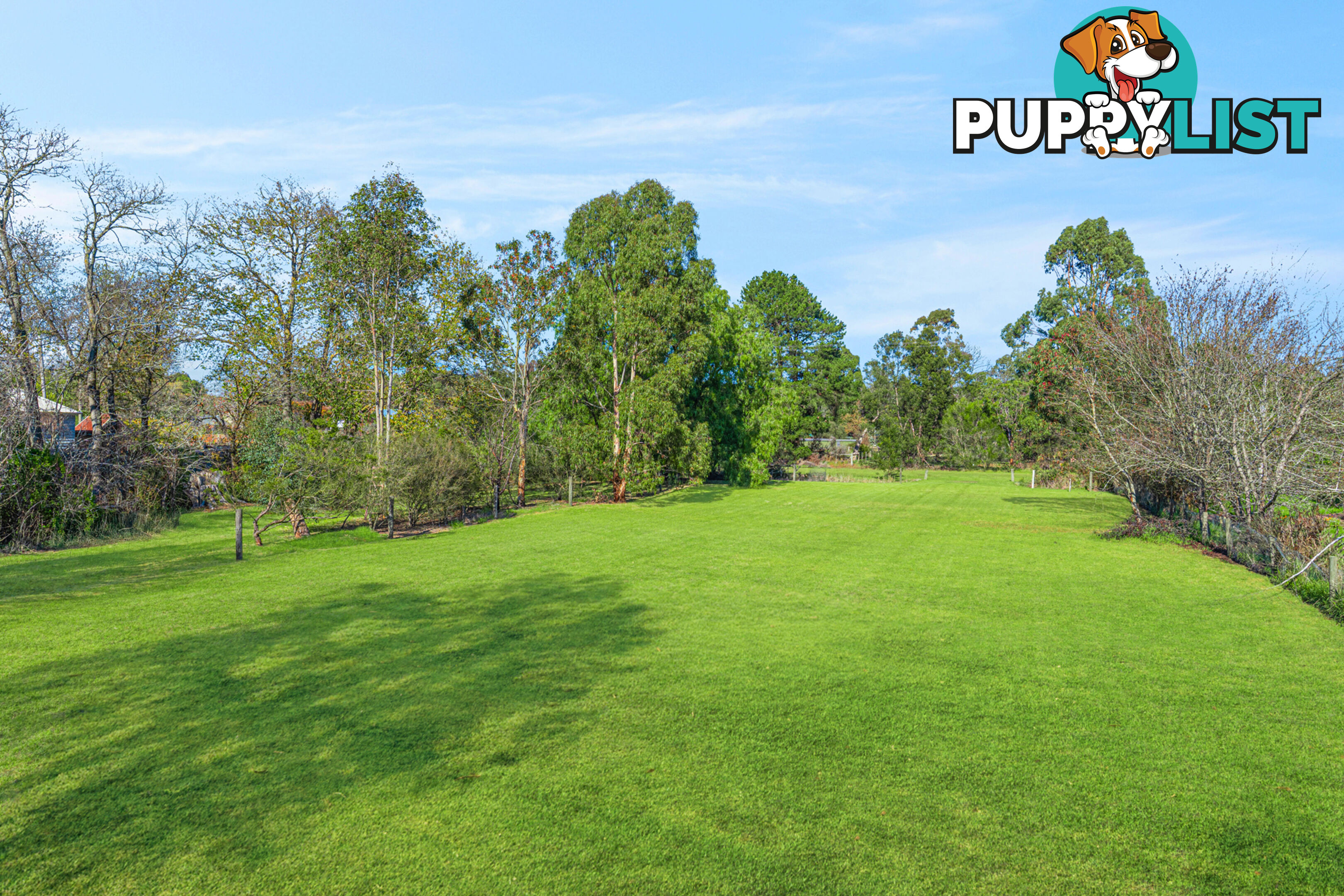48 Skene Street BIRREGURRA VIC 3242