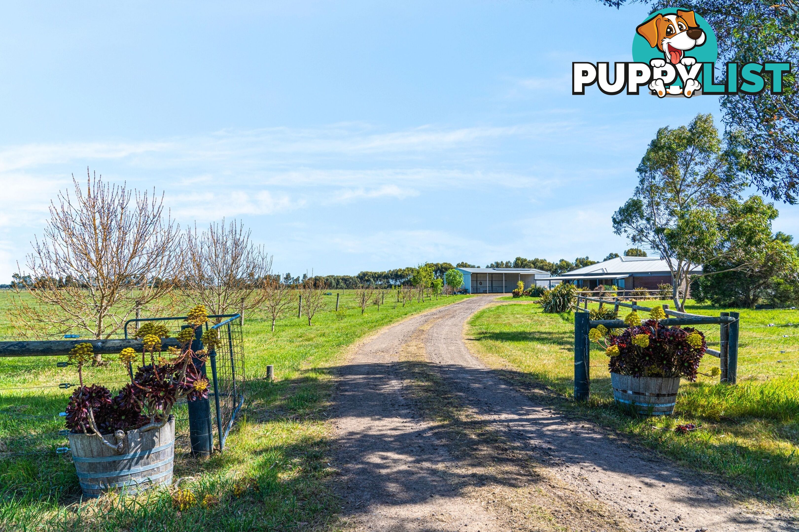 1019 Wingeel Road WINGEEL VIC 3321