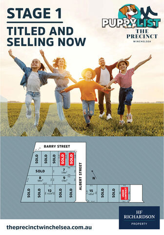 135 Austin Street WINCHELSEA VIC 3241