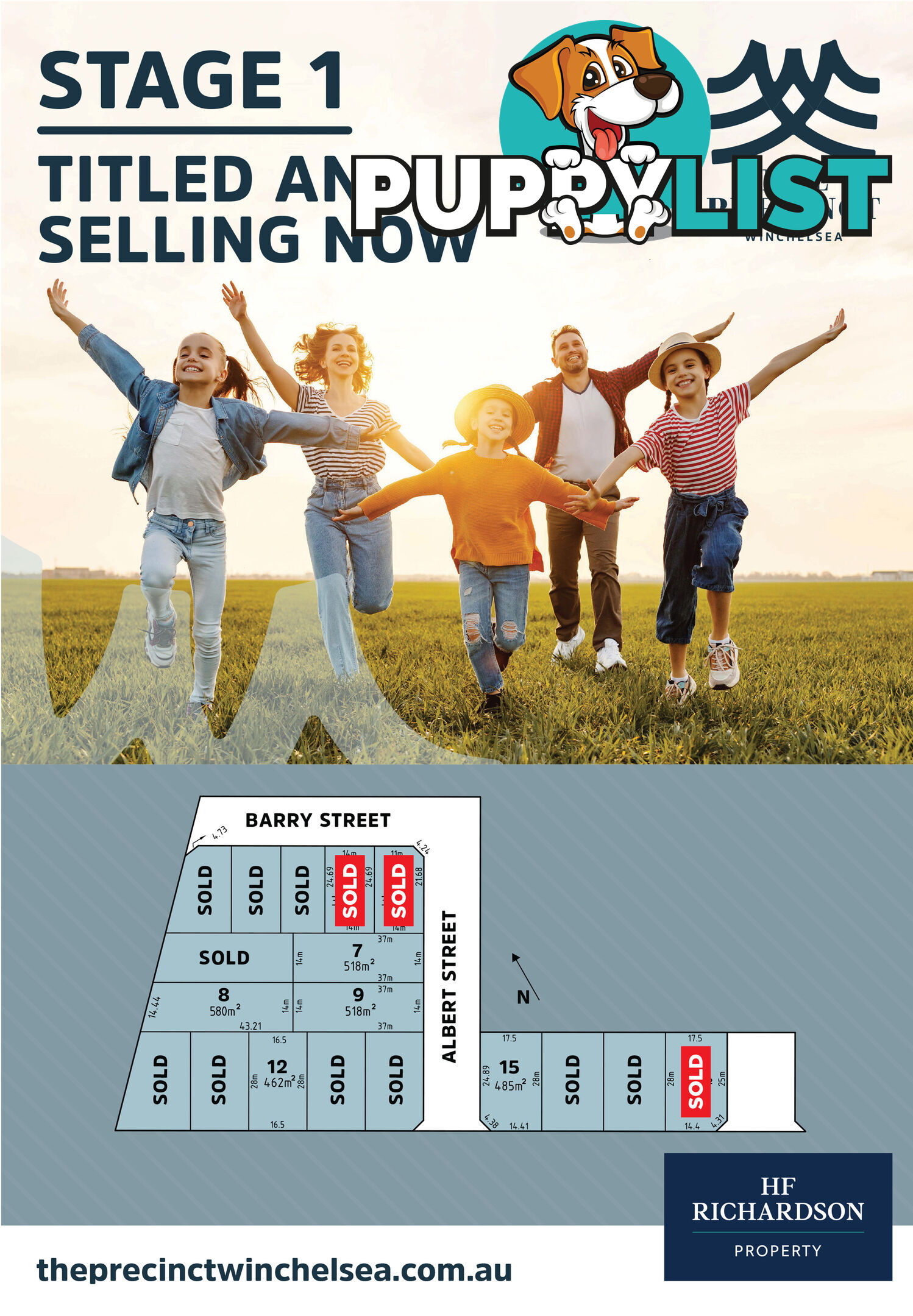 135 Austin Street WINCHELSEA VIC 3241