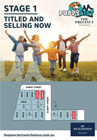 135 Austin Street WINCHELSEA VIC 3241