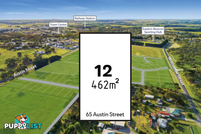 135 Austin Street WINCHELSEA VIC 3241
