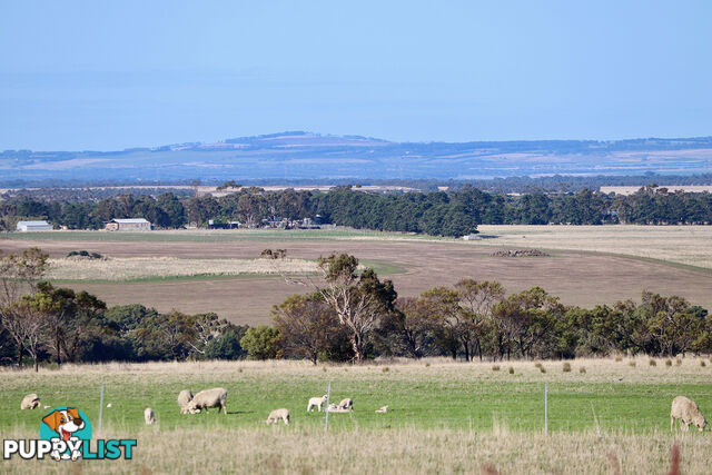 141 Bamganie Road BAMGANIE VIC 3333