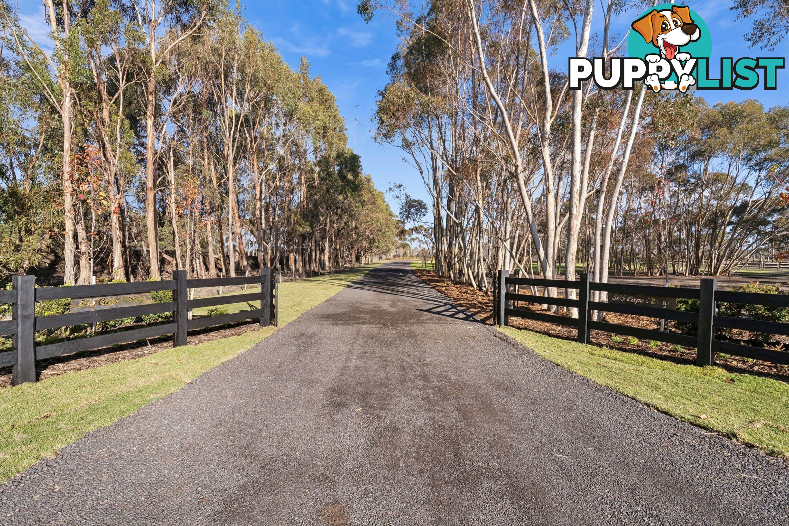 505 Cape Otway Road MORIAC VIC 3240