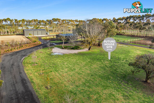 505 Cape Otway Road MORIAC VIC 3240