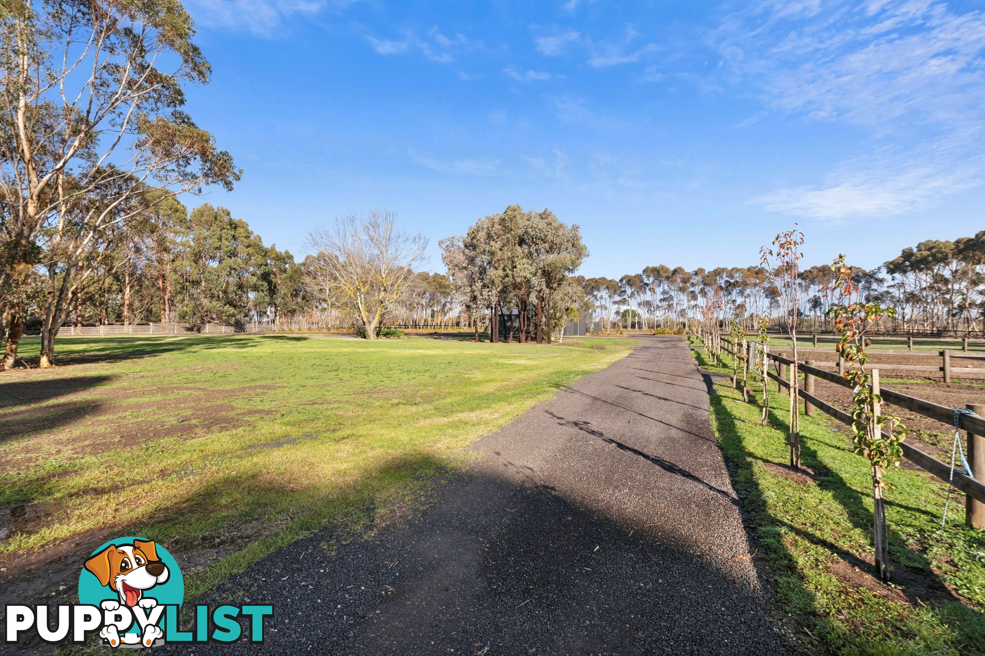 505 Cape Otway Road MORIAC VIC 3240