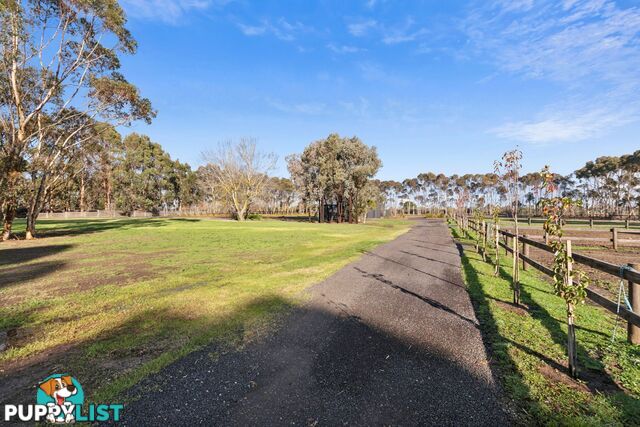 505 Cape Otway Road MORIAC VIC 3240