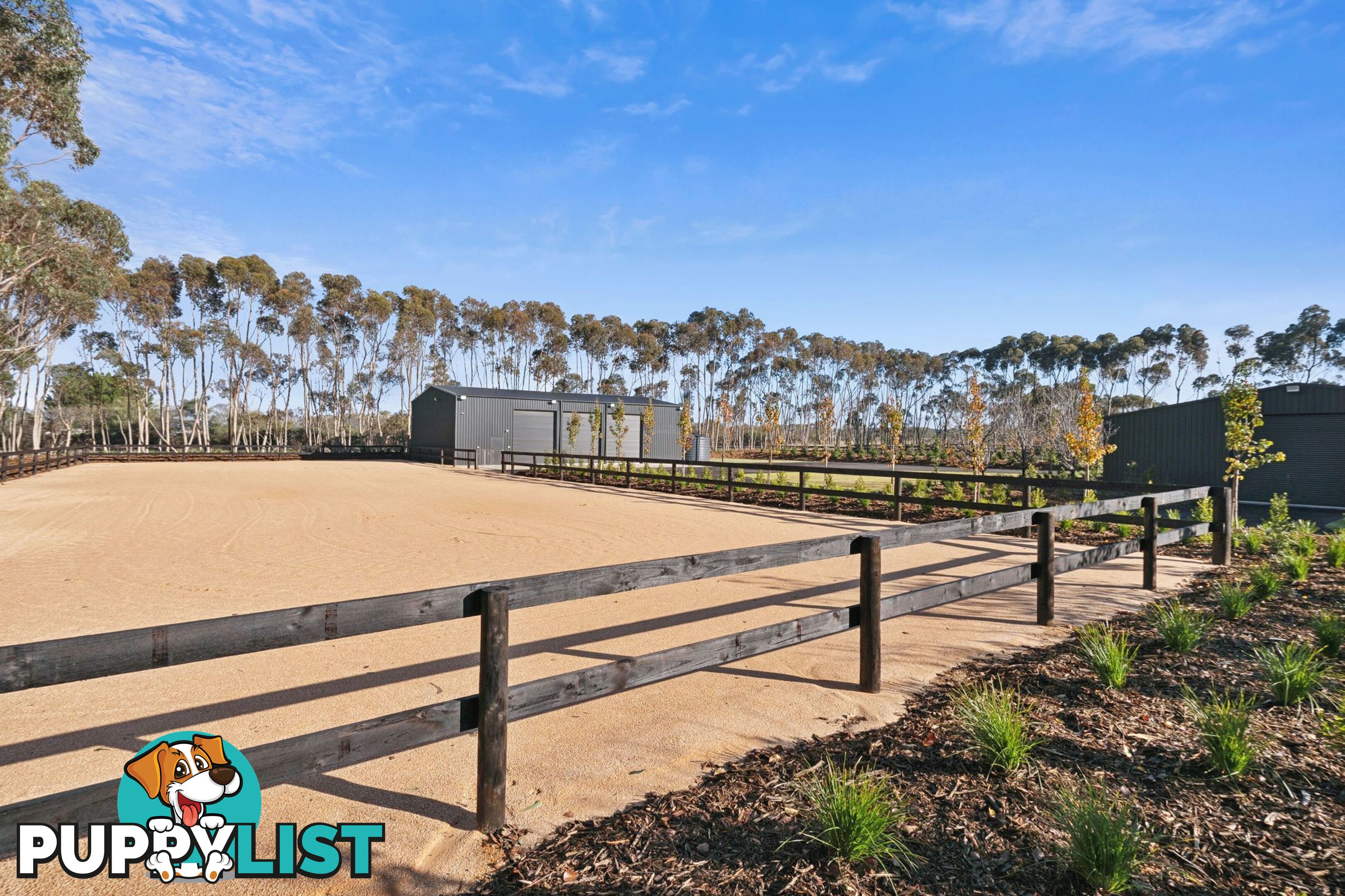 505 Cape Otway Road MORIAC VIC 3240