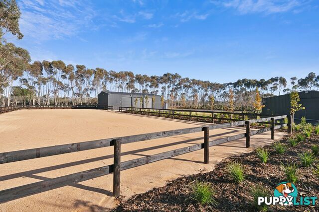 505 Cape Otway Road MORIAC VIC 3240