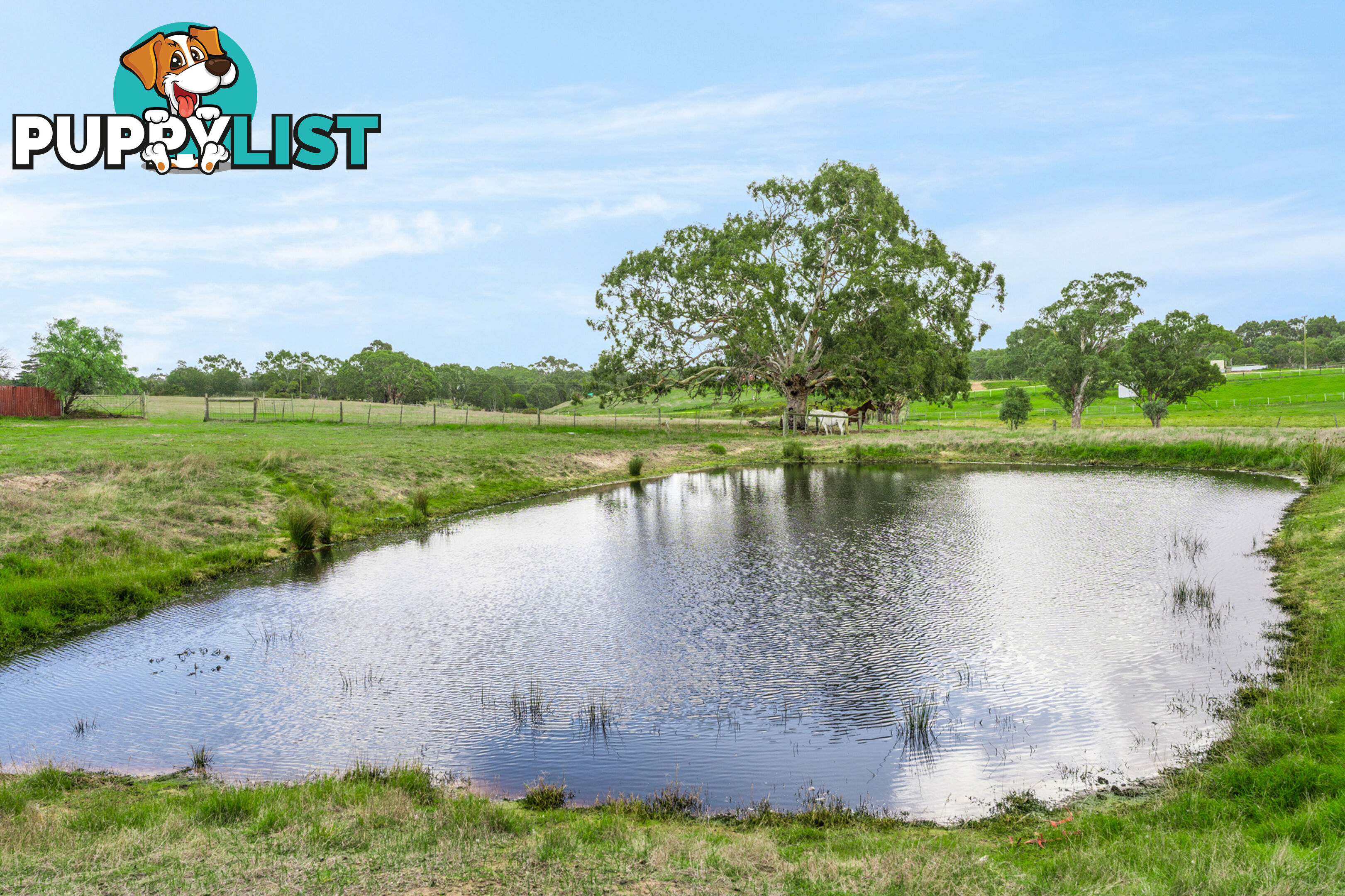 10 & 40 Orchards Road WINCHELSEA VIC 3241