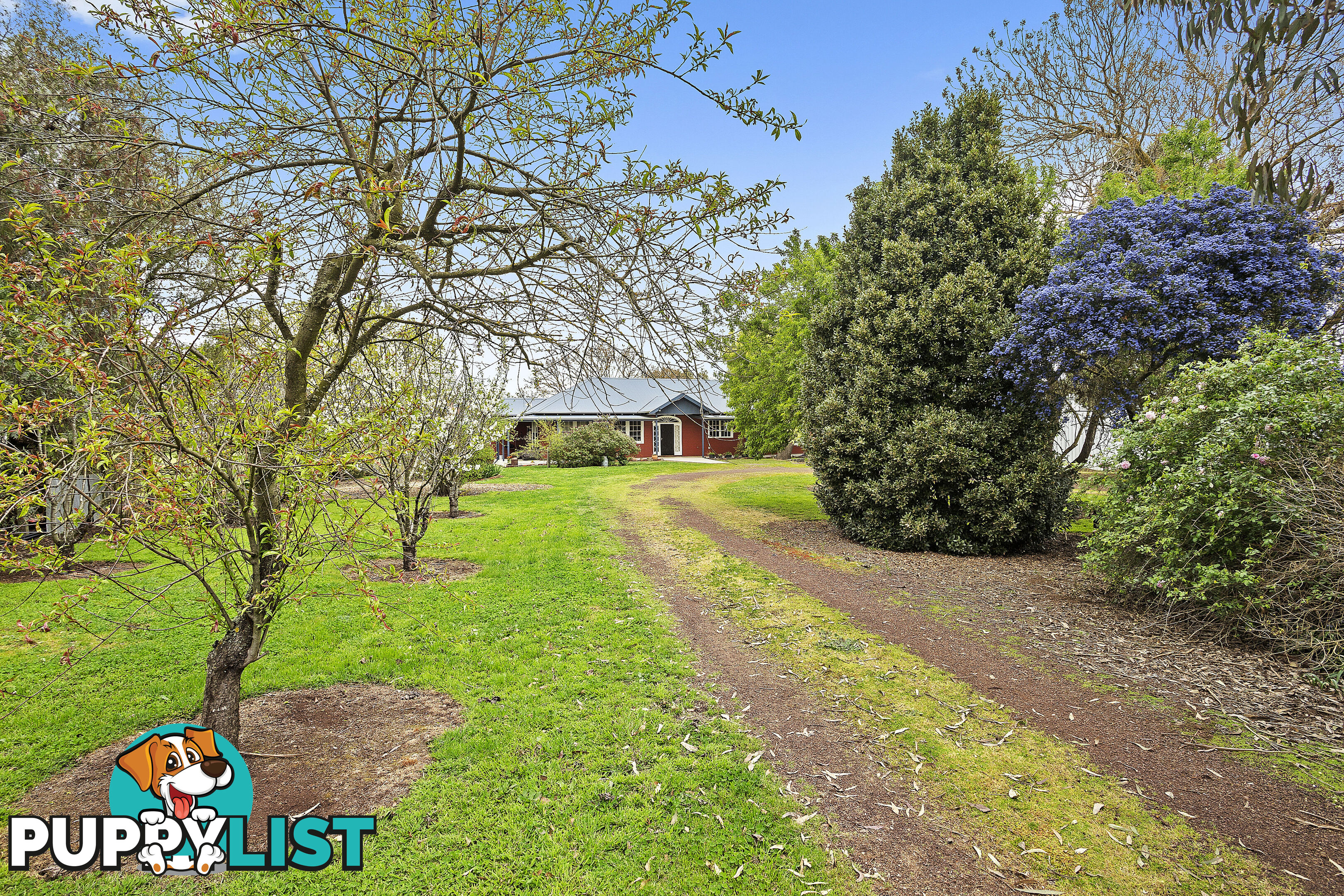 85 Dorans Rd COLAC VIC 3250