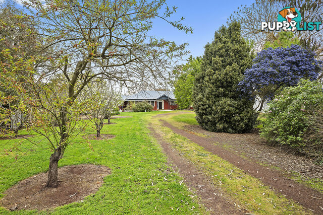 85 Dorans Rd COLAC VIC 3250