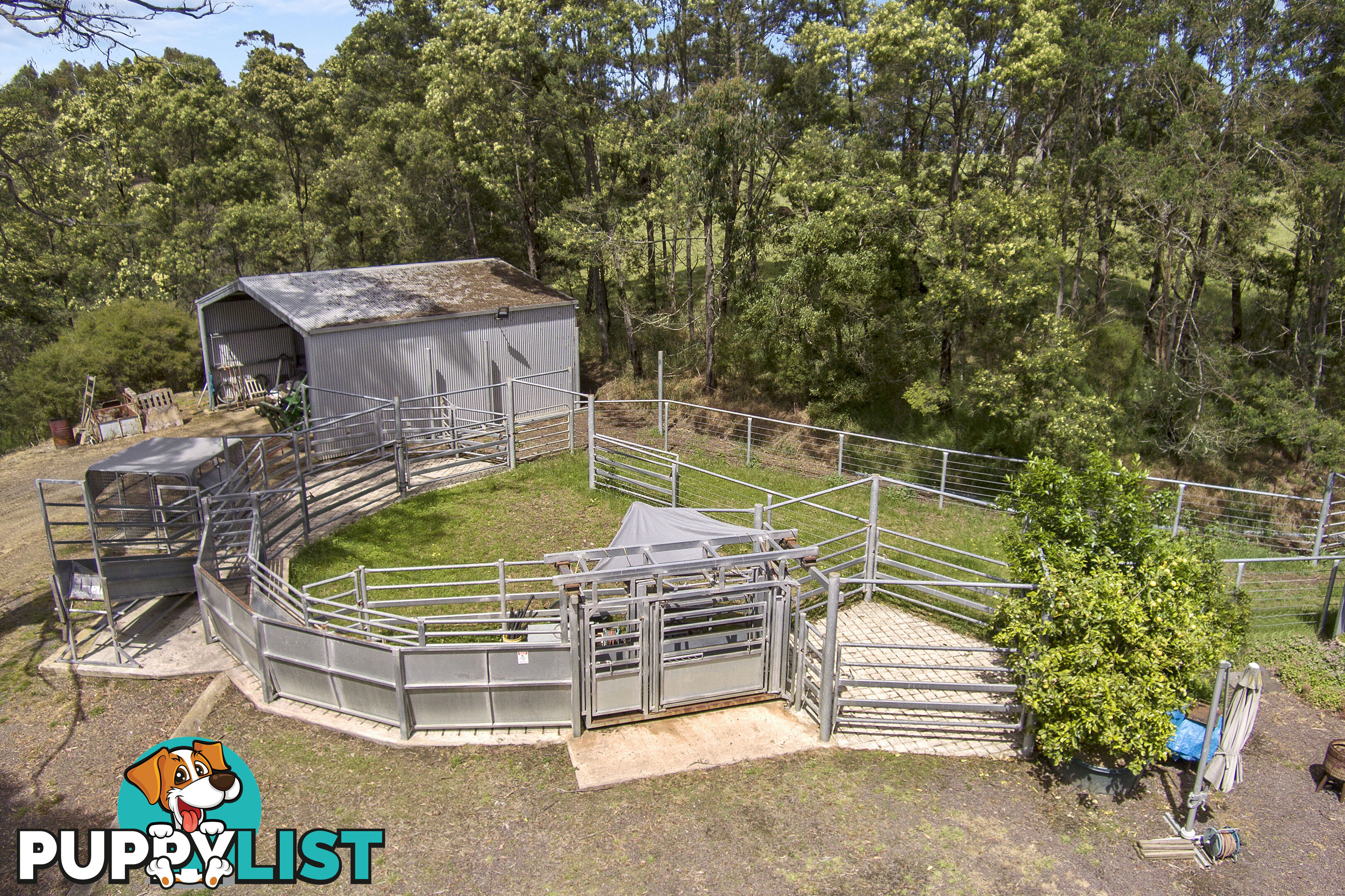 355 Pennyroyal-Wymbodiel Road PENNYROYAL VIC 3235