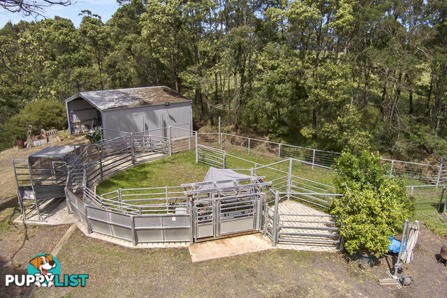 355 Pennyroyal-Wymbodiel Road PENNYROYAL VIC 3235