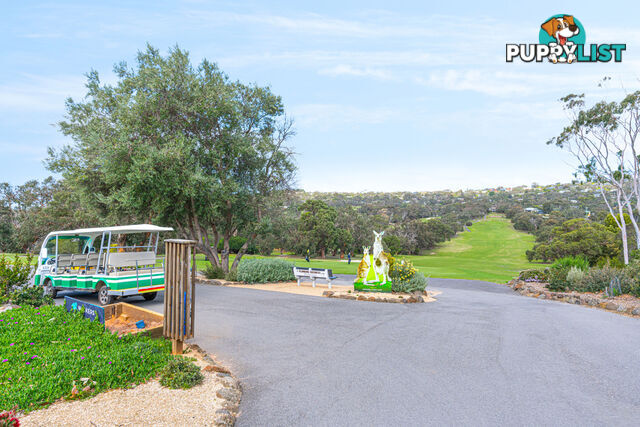 22 Butterworth Crescent ANGLESEA VIC 3230