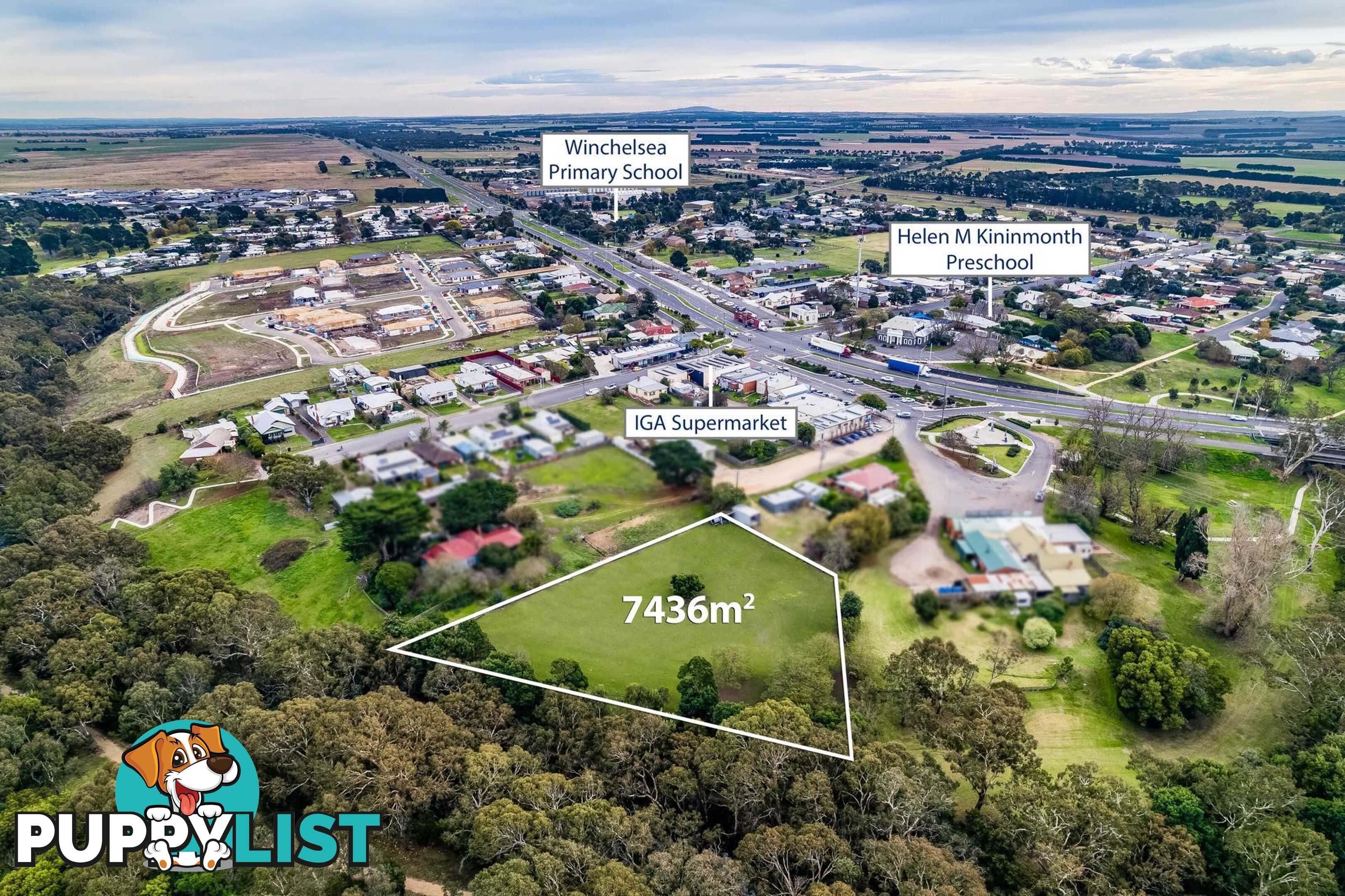 3 Palmer Street WINCHELSEA VIC 3241