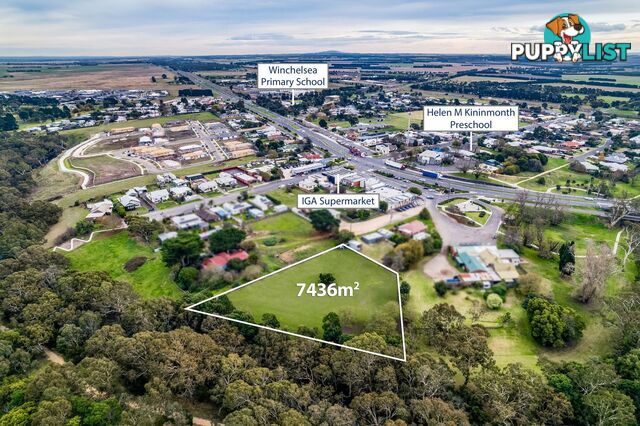 3 Palmer Street WINCHELSEA VIC 3241