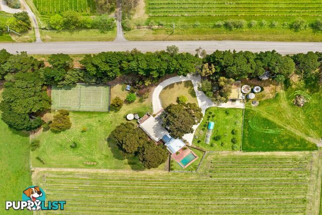 45 Soho Road DRYSDALE VIC 3222