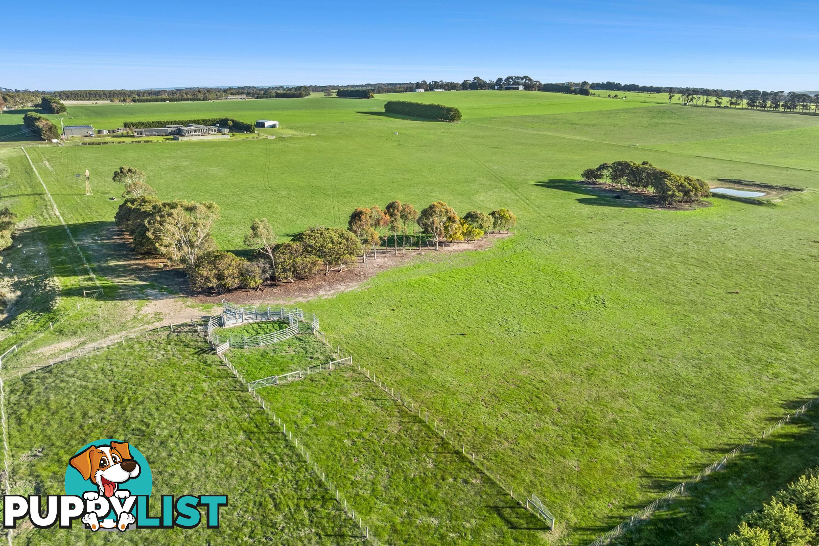 650 Pollocksford Road GNARWARRE VIC 3221