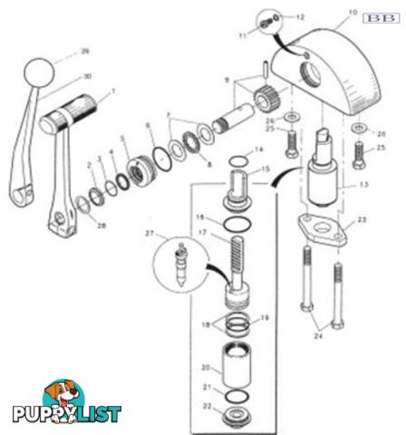 Pinion Assembly