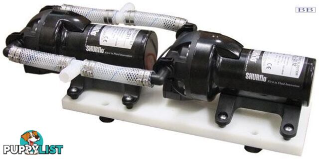 SHURFLO pumps  EXTREME SERIES HIGH FLOW SYSTEM 23960 23961