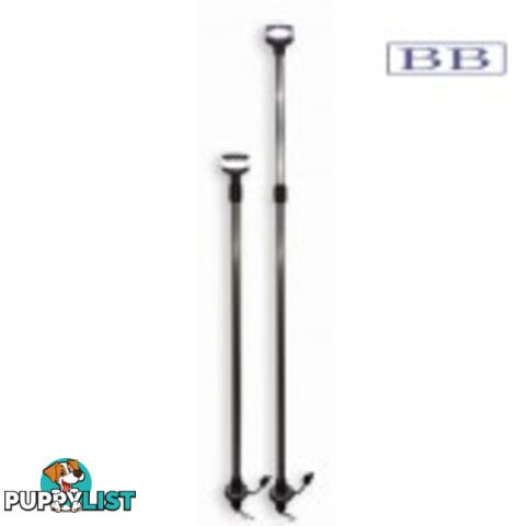 Removable Telescopic LED Pole Light