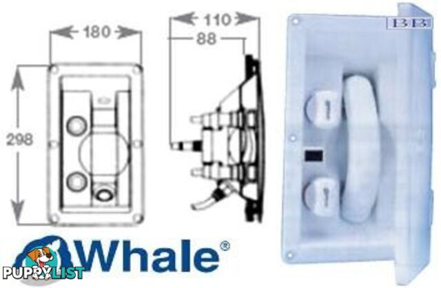 Marine Whale Single Swim-N-Rinse