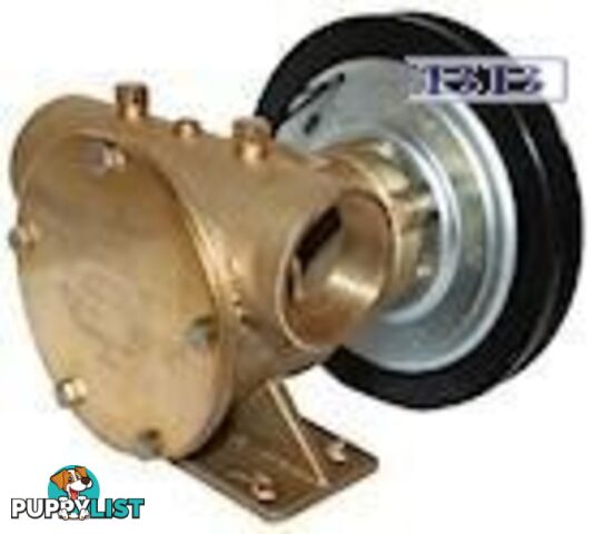 Jabsco pumps 50200 series Clutch Pumps 1 1/2äó BSP 12/24V  50200-2211 50200-2301 50200-2001 50200-2101