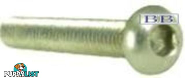 Button Head Socket Screw M6