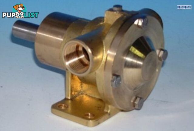 MASE / FARYMANN Raw water pump