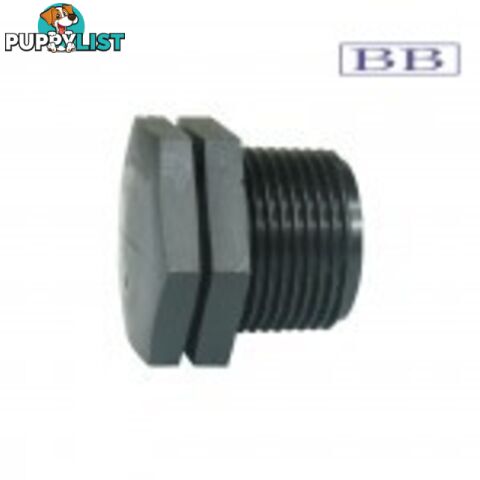 End Plug &frac12;" BSP