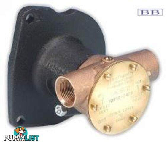 Jabsco pumps 10950 4 cyl Ford with gear 10950-2401