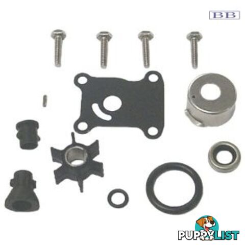 Pump Kit - OMC suits 391698