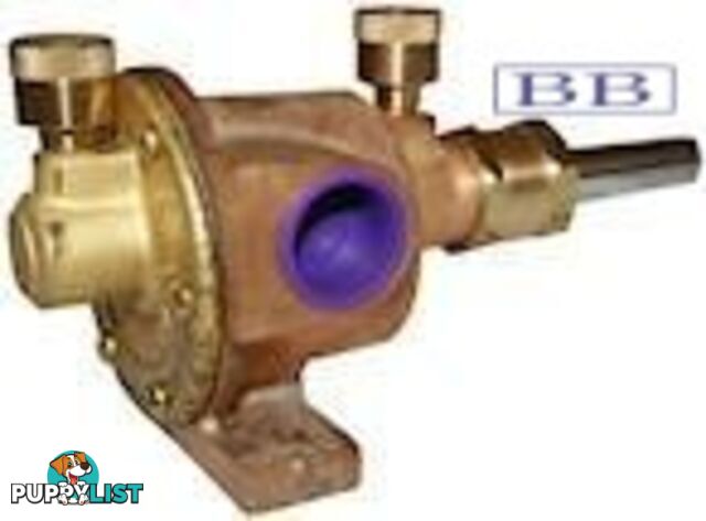 Marine Fynspray pumps  3/4äó double plain bearing rwb79A