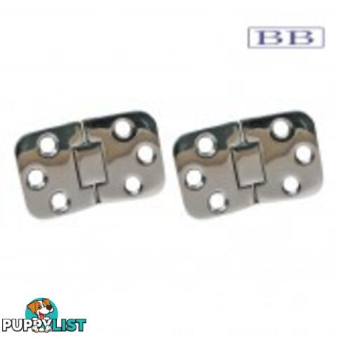 Dual Pivot Hinges S/S