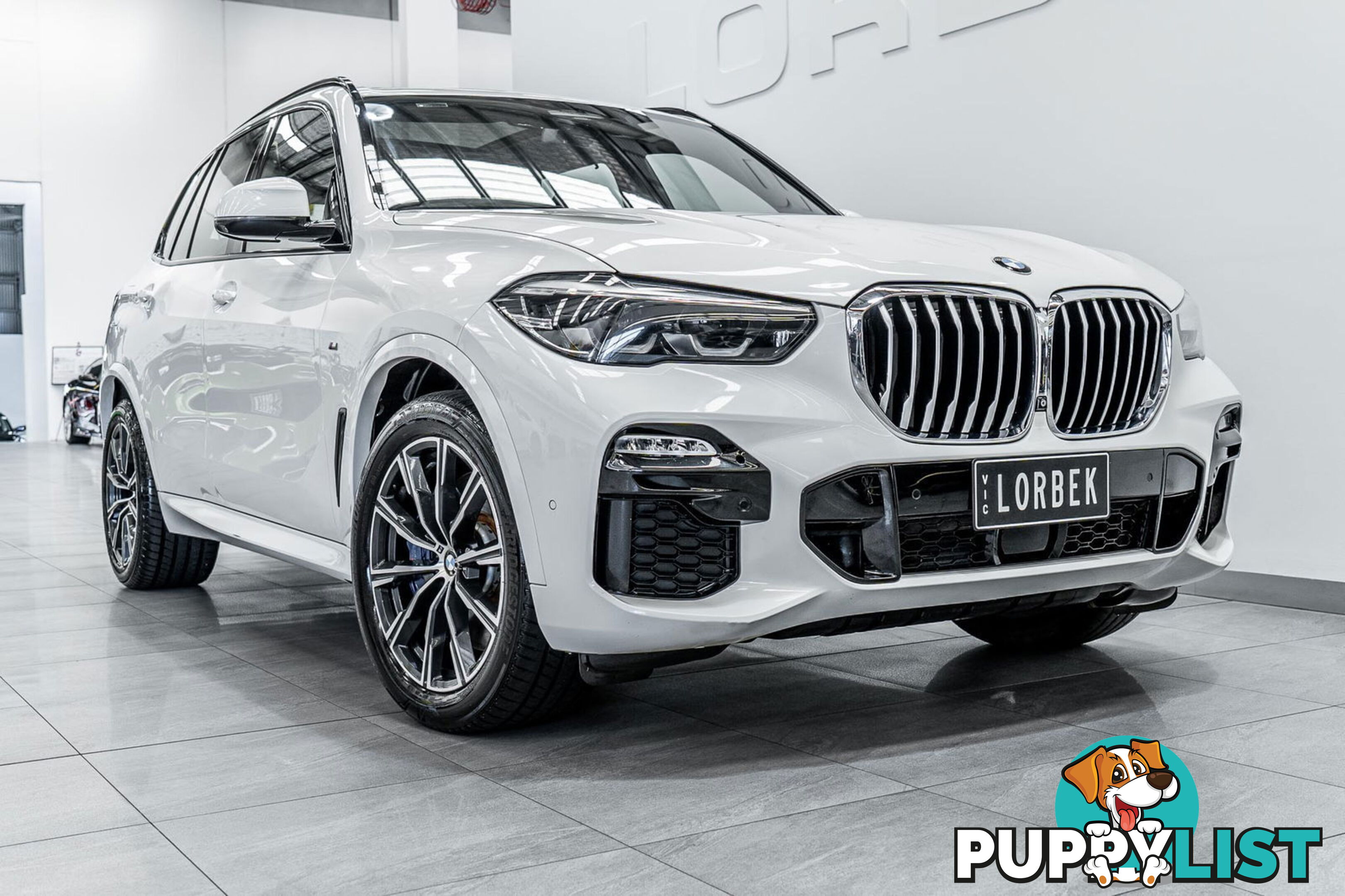 2019 BMW X5 xDrive 30d M Sport (5 Seat) G05 MY18